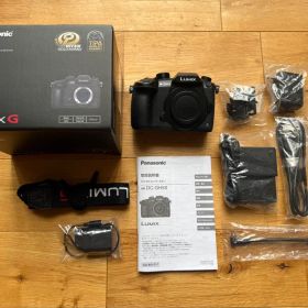【美品】Panasonic LUMIX DC-GH5 本体 ミラーレス一眼