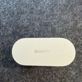 ソニー(SONY) WF-1000XM6 シルバー