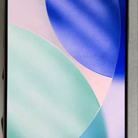 Apple iPhone 16 Pro Max 本体