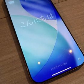 iphone 16 Pro Max 海外版 Sim free 背面割れ