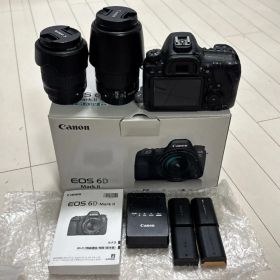 【美品】Canon EOS 6D Mark II ＋付属品おまけ多数