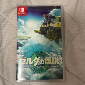 ゼルダの伝説 ティアーズ オブ ザ キングダム Switch