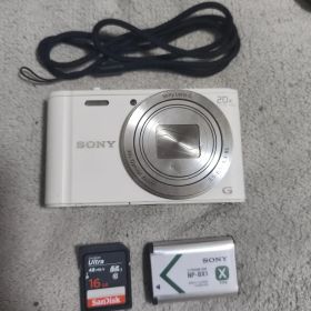 【動作確認済】SONY cybershot DSC-WX350【訳あり】