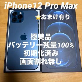 【極美品✨】iPhone12 Pro Max 256GB本体 付属品有り