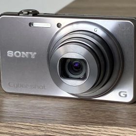 SONY Cyber-shot DSC-WX200 シルバー18.2MP 042