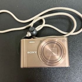 SONY Cyber-shot DSC-WX300 デジタルカメラ