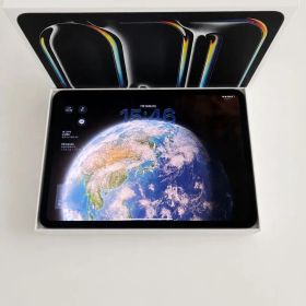 Apple 11インチ iPad Pro (M4) 256GB