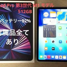 Apple 11インチiPad Pro 第3世代 512GB [シルバー]