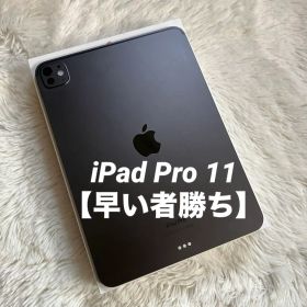 【完動品】iPad Pro（M4）11インチ 第5世代 256GB 【すぐ発送】