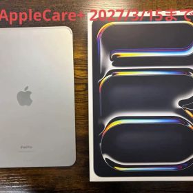 iPad Pro 11インチ M4 256GB シルバー AppleCare付き