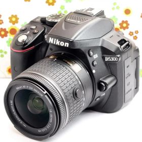 ニコン Nikon D5300 ☆初心者歓迎☆軽量バリアングル☆高機能一眼レフ！