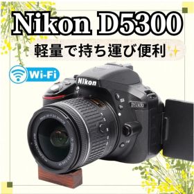 初心者必見◆Nikon D5300◆一眼レフカメラ◆標準レンズ◆Wi-Fi搭載