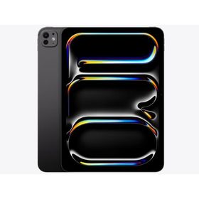 Apple iPad Pro 11インチ Wi-Fi 1TB Nano-texture MDWR4J/A [スペースブラック]【お取り寄せ ※1ヶ月から2ヶ月見込み】（2100000017881）