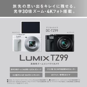 パナソニック(Panasonic) LUMIX DC-TZ99-K ブラック 4K 光学30倍ズーム デジタルカメラ