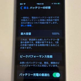 SIMフリー iPhone SE 第1世代 本体 64GB・バッテリー100％