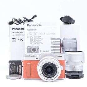 【送料無料】【並品】DC-GF10WA-D