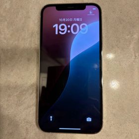iPhone 12 Proシルバー SIMフリー 海外版 カメラ無音 レンズ割有