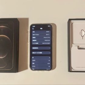 絶賛値下げ中 バッテリー100% Apple iPhone 12 Pro 256