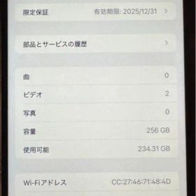 海外版iPhone 16 Pro Max 256GB,美品,