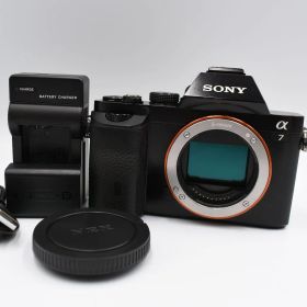 Sony ソニー α7 ILCE-7 ミラーレス一眼デジタルカメラ シャッター数8845 (175)