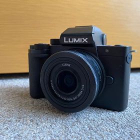 Panasonic DC-G100 DC-G100V-K
