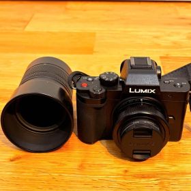 【極美品】Panasonic LUMIX DC-G100D デジタルカメラ