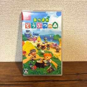 Nintendo Switch あつまれ どうぶつの森 ソフト データ削除済み