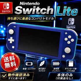Nintendo Switch Lite ブルー×ターコイズ 動作確認済 本体