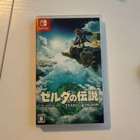 ゼルダの伝説 ティアーズ オブ ザ キングダム 出し入れ一回