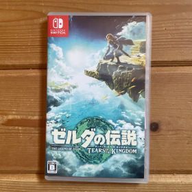 ゼルダの伝説 ティアーズ オブ ザ キングダム Switch