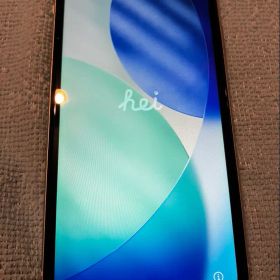 Apple iPhone 11 本体