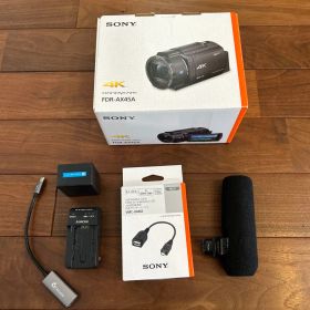 SONY Handycam FDR-AX45A