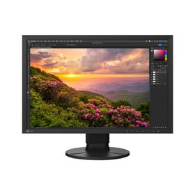 EIZO 24.1インチカラー液晶モニター ColorEdge (1920x1200/USB Type-C) CS2400S-BK