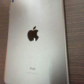 Apple iPad mini 第5世代 本体 A2133