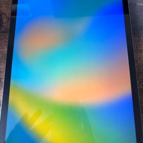 Apple iPad Pro 11インチ 256GB 本体(第一世代) セルラー
