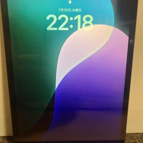 Apple iPad Pro 11インチWi-Fi+Cellular256GB