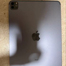 iPad Pro 11インチ 第2世代 256GB セルラーモデル