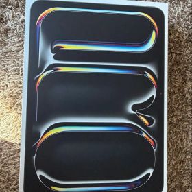 【極美品】iPad Pro M4 11インチ 256GB WiFi 100%