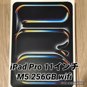 Apple iPad Pro 11インチ 256GB Wi-Fiモデル M5