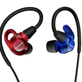 【新品・5営業日で発送】SONY ソニー インイヤーヘッドホン レッド＆ブルー(IER-M500／Z)