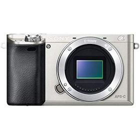 SONY α6000 シルバー ボディ 良品 動作確認済み 1ヶ月保証付 高性能