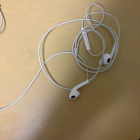 Apple EarPods 有線イヤホン 本体