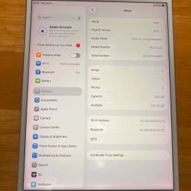 Apple iPad Air 第3世代 256GB 本体