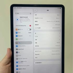 Apple iPad Pro 11インチ 第2世代 本体
