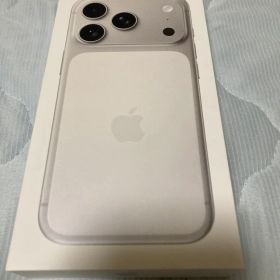 Apple iPhone 17 Pro 1TB Silver 本体