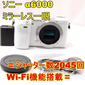 〓シャッター数2045回〓SONY ソニー α6000 ミラーレス一眼