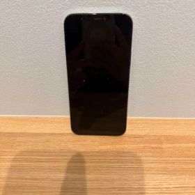 iPhone12pro 256GB
