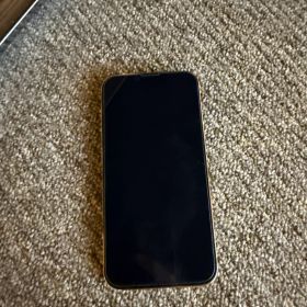 Apple iPhone 13Pro 本体