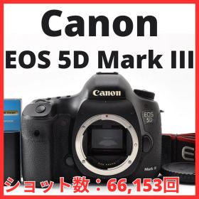 G18[8227]21 キヤノン Canon EOS 5D Mark III ボディ 【ショット数 66,153回】