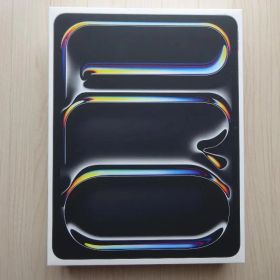 Apple iPad Pro 本体 A2925 (M4) 13インチ 256GB